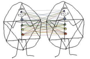 Energetic connections