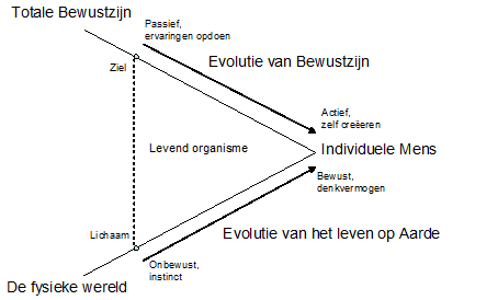 Evolutie levend organisme